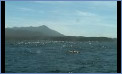 Tasmania-seakayak Tasmania-seakayak
