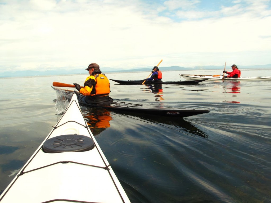 Paddle from Point Holmes