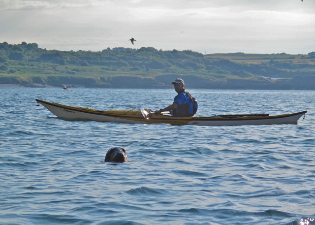 10_Seal_by_Barry