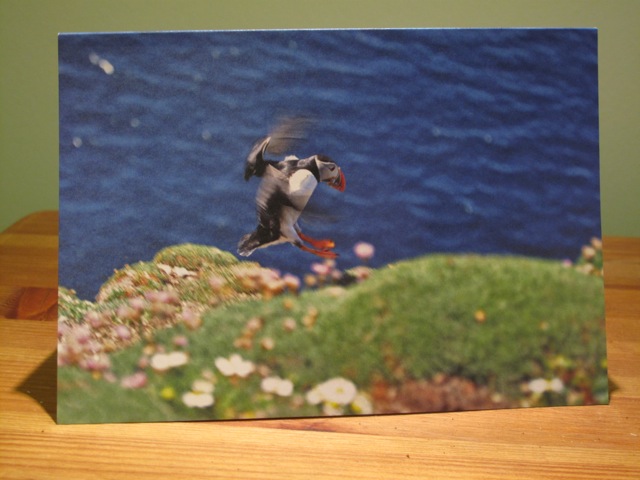 Puffin_card