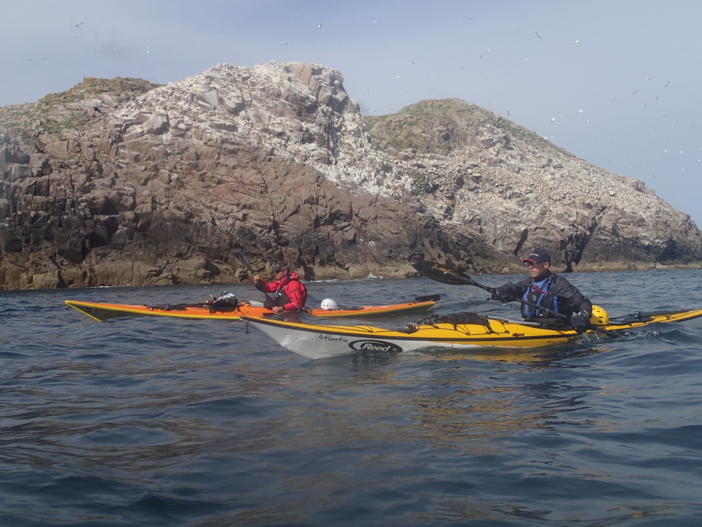 Saltee islands